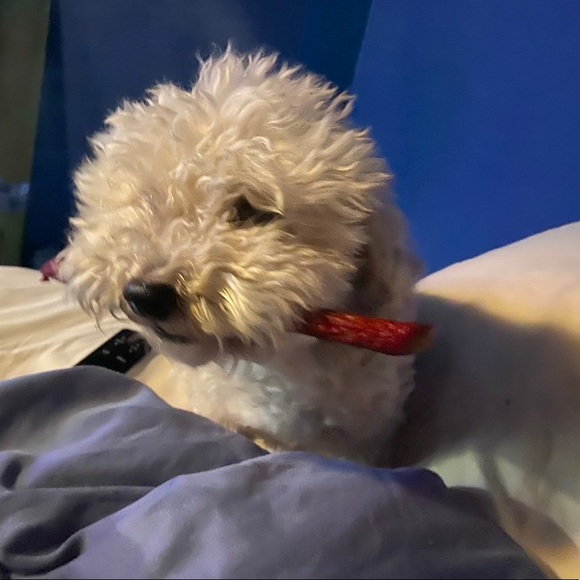 Jackie ♥️🎨💄♍️ ~ Posh Ambassador - Picture 10 of 14